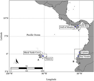 Assessment of nursery areas for the scalloped hammerhead shark (Sphyrna lewini) across the Eastern Tropical Pacific using a stable isotopes approach